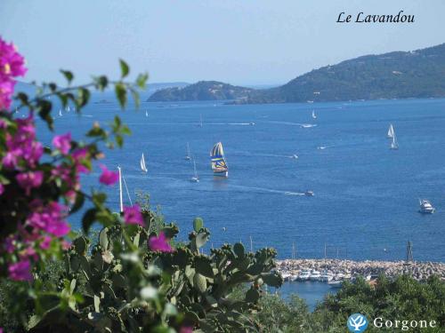 Photo n°3 de :location vacances Le Lavandou - vue mer panoramique