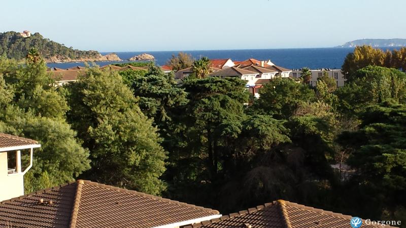 Photo n°1 de :VUE MER TRS LUMINEUX ,WIFI GRATUIT, CAVALIRE (LAVANDOU)