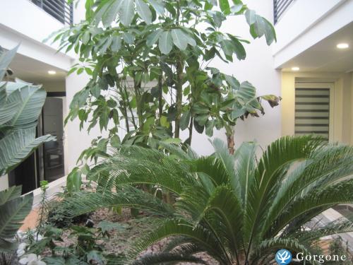 patio intrieur rsidence