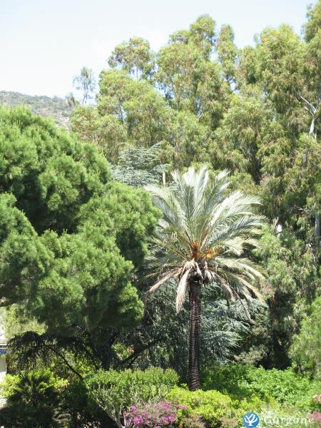 Photo n°4 de :Bord de mer VAR LAVANDOU ST CLAIR T4 4-6 personnes